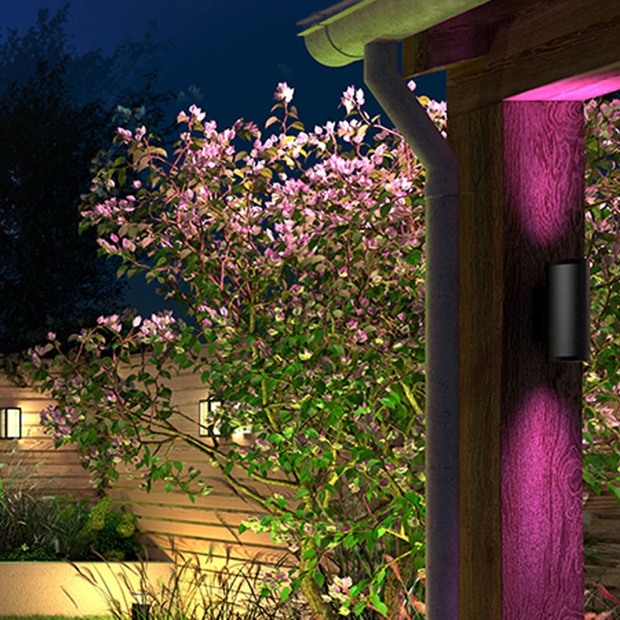 Philips - LED RGB Luminaire extérieur Hue APPEAR 2xLED/8W/230V IP44