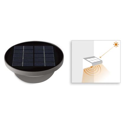 Philips 17808/87/16 - Lampe LED solaire avec capteur MYGARDEN DUSK 1xLED/1W/3,7V