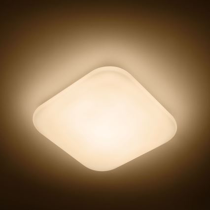 Philips - Plafonnier LED LED/17W/230V 2700K