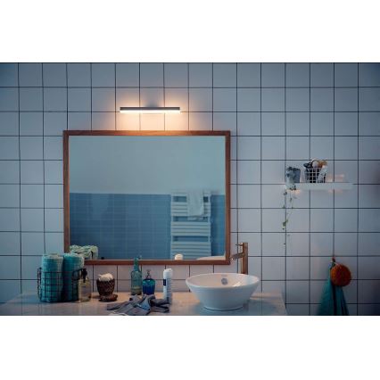 Philips 34341/11/P0 - Luminaire LED salle de bainà intensité variable MYBATHROOM PLUNGE LED 9W/230V IP44