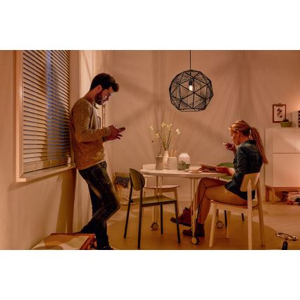 Philips - Suspension 1xE27/60W/230V