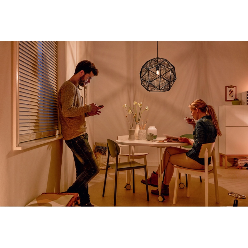 Philips - Suspension 1xE27/60W/230V