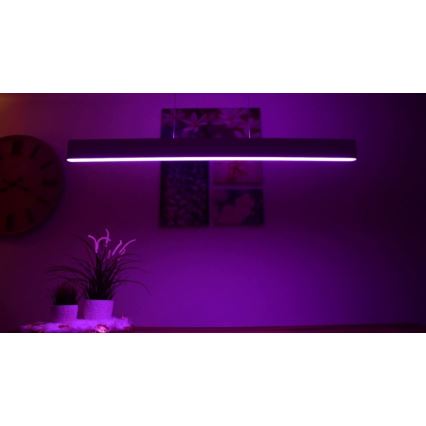 Philips – Suspension filaire LED Hue ENSIS White And Colour Ambiance 2×LED/39W/230V