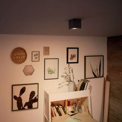 Philips - Spot LED dimmable LED/4,5W/230V