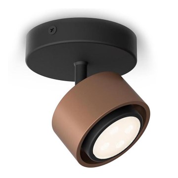 Philips 50651/05/P0 - Spot FERANO LED/4,3W/230V