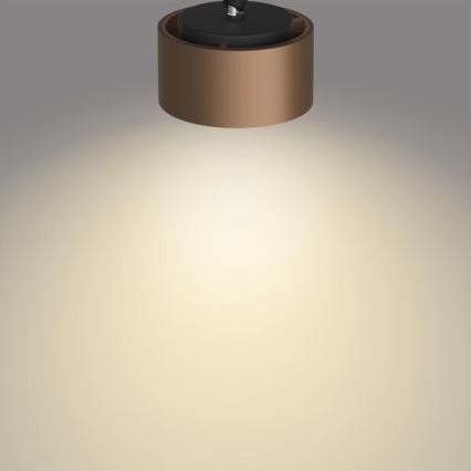 Philips 50651/05/P0 - Spot FERANO LED/4,3W/230V