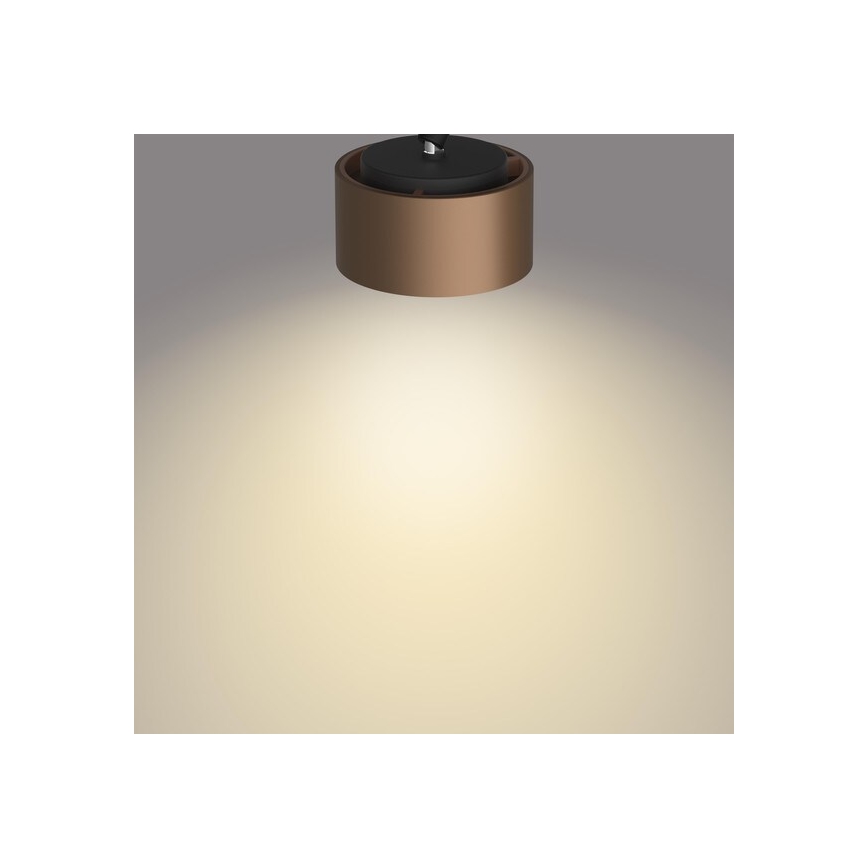 Philips 50651/05/P0 - Spot FERANO LED/4,3W/230V