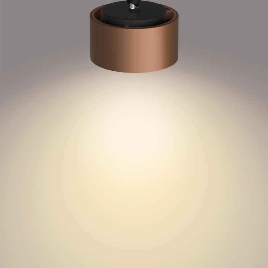 Philips 50653/05/P0 - Spot LED FERANO 3xLED/4,3W/230V