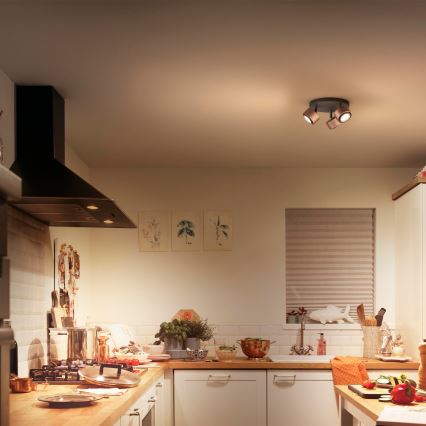 Philips 50653/05/P0 - Spot LED FERANO 3xLED/4,3W/230V