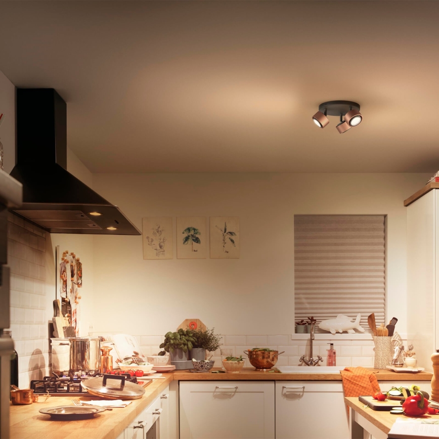 Philips 50653/05/P0 - Spot LED FERANO 3xLED/4,3W/230V