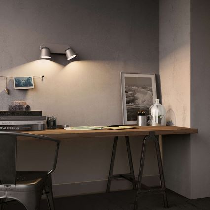 Philips 53342/31/16 - Spot LED DENDER 2xLED/4W/230V