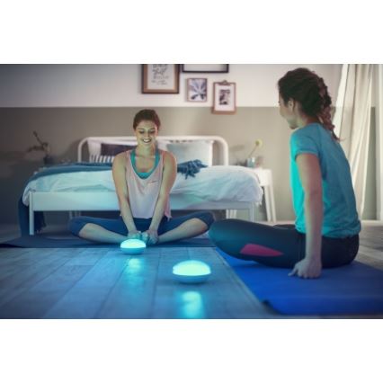 Philips 70104/31/P0 - Lampe portable LED à intensité modulable CAMELLIA LED/3W