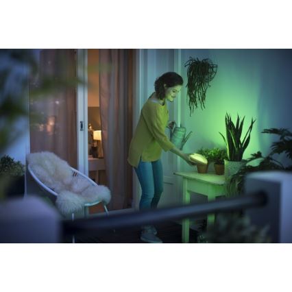 Philips 70104/31/P0 - Lampe portable LED à intensité modulable CAMELLIA LED/3W