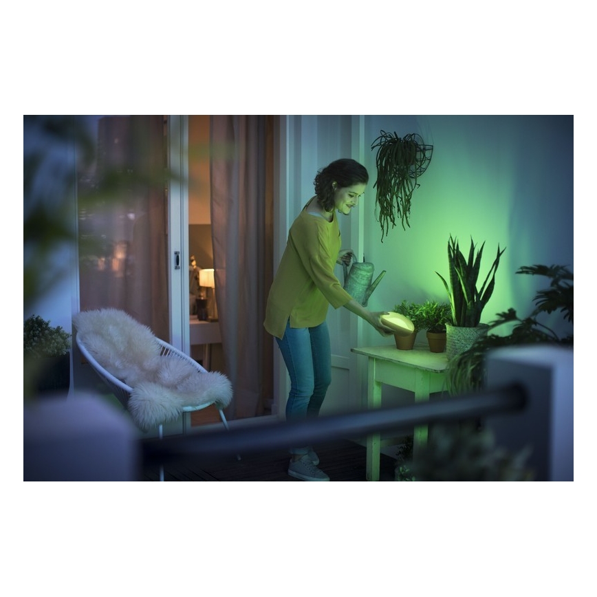Philips 70104/31/P0 - Lampe portable LED à intensité modulable CAMELLIA LED/3W
