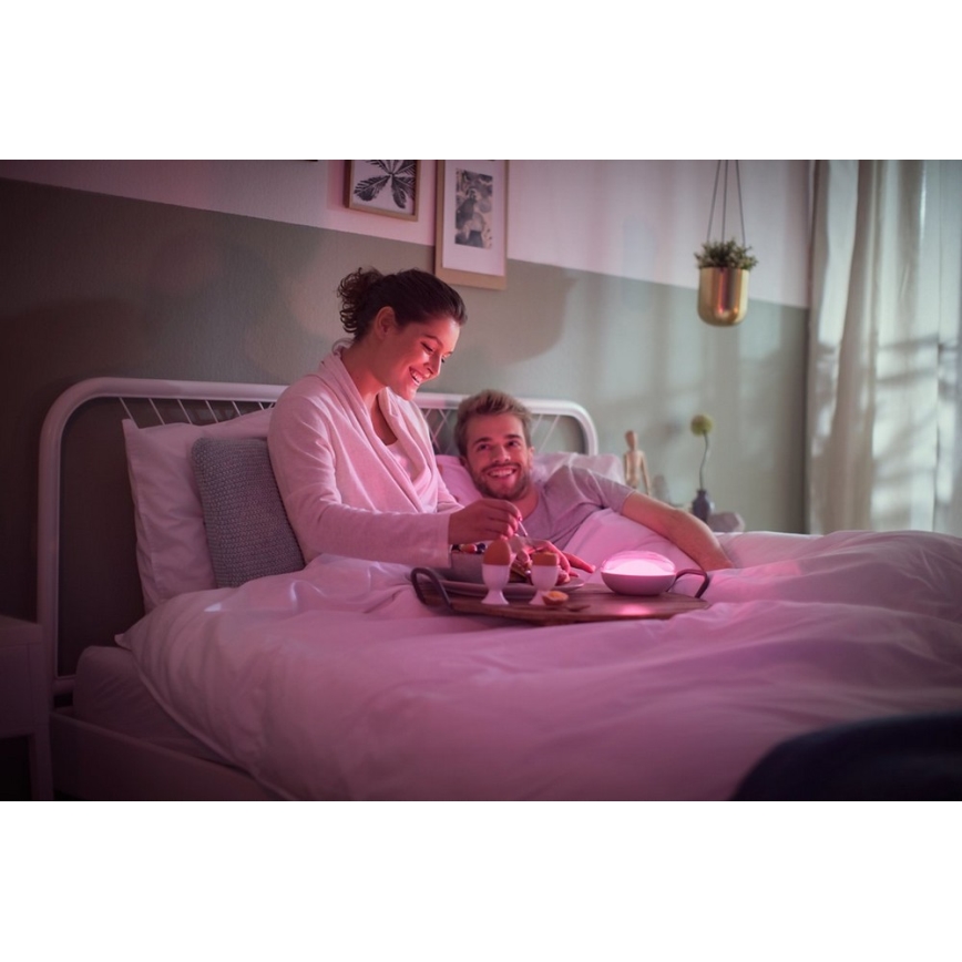 Philips 70104/31/P0 - Lampe portable LED à intensité modulable CAMELLIA LED/3W