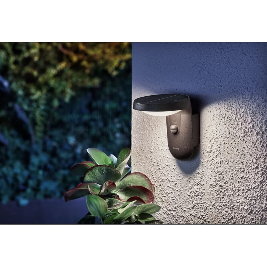 Philips - Éclairage solaire solaire avec détecteur LED/1,2W/4V 4000K IP44