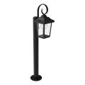 Philips - Lampe d'extérieur BUZZARD 1xE27/25W/230V IP44