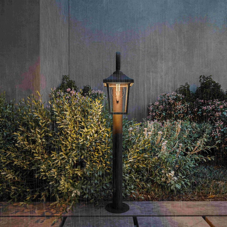 Philips - Lampe d'extérieur BUZZARD 1xE27/25W/230V IP44