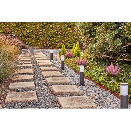 Philips - Lampe d'extérieur LED GARDENLINK LED/6W/230V 2700K IP44