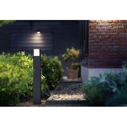 Philips - Lampe extérieure ARBOUR LED/3,8W/230V 77 cm 2700K IP44