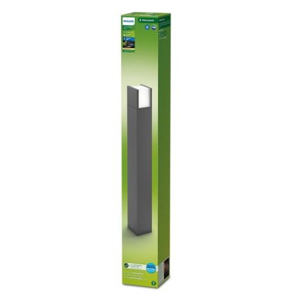 Philips - Lampe extérieure ARBOUR LED/3,8W/230V 77 cm 2700K IP44