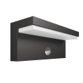 Philips - LED Applique murale extérieure avec détecteur 2xLED/4,5W/230V 4000K IP44
