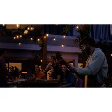 Philips - Hue FESTAVIA Guirlande d'extension d'extérieur dimmable LED RGBW, 10 LED, 7 m, IP65