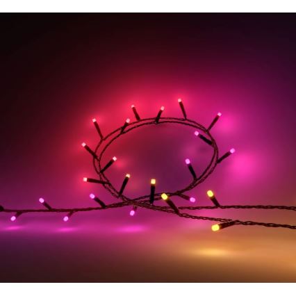 Philips - Guirlande d'extérieur dimmable LED RGBW HUE WHITE AND COLOR AMBIANCE 500 LEDs 44,4 m 2000–6500 K IP54