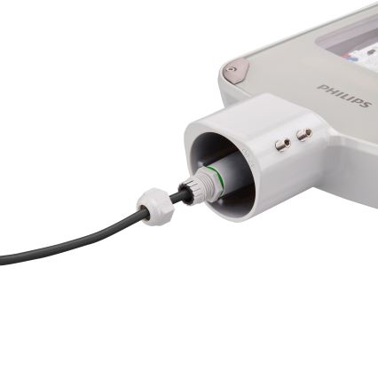 Philips - Luminaire de voirie LED CORELINE MALAGA LED/37W/230V 4000K IP65
