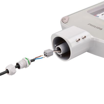 Philips - Luminaire LED de voirie CORELINE MALAGA LED/25W/230V 4000K IP65