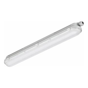 Philips - Luminaire technique LED CORELINE LED/25W/230V 120 cm IP66
