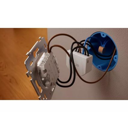 Philips - Module pour interrupteur mural Hue à 2 boutons