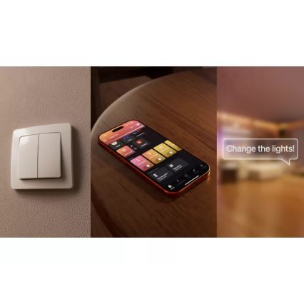 Philips - Module pour interrupteur mural Hue à 2 boutons