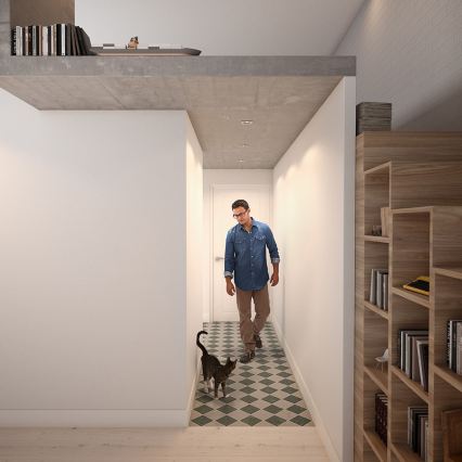 Philips - Spot encastré LED RGBW dimmable DONEGAL 3xGU10/4,8W/230V + télécommande