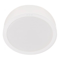 Philips - Plafonnier MESON LED/24W/230V 3000K
