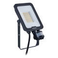 Philips - Projecteur LED avec détecteur de mouvement et de crépuscule LEDINAIRE ALL-IN LED/30W/230V 3000/4000/6500K IP65