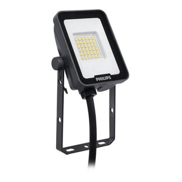 Philips - Projecteur LED LED/10W/230V 4000K IP65