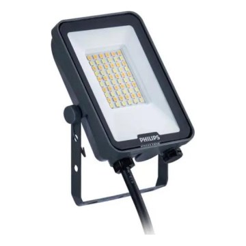 Philips - Projecteur LED LEDINAIRE ALL-IN LED/20W/230V 3000/4000/6500K IP65