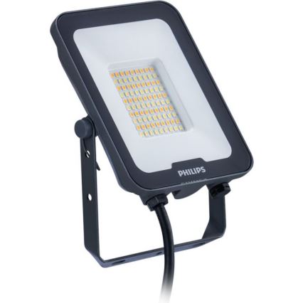 Philips - Projecteur LED LEDINAIRE ALL-IN LED/30W/230V 3000/4000/6500K IP65