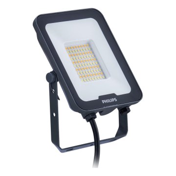 Philips - Projecteur LEDINAIRE ALL-IN LED/50W/230V 3000/4000/6500K IP65 anthracite