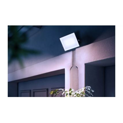 Philips - Projecteur LOIS LED/30W/230V IP65 5000K