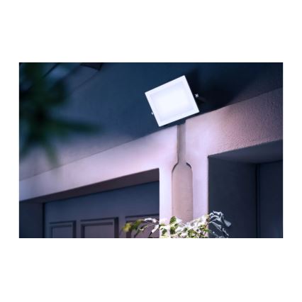 Philips - Projecteur LOIS LED/50W/230V IP65 5000K