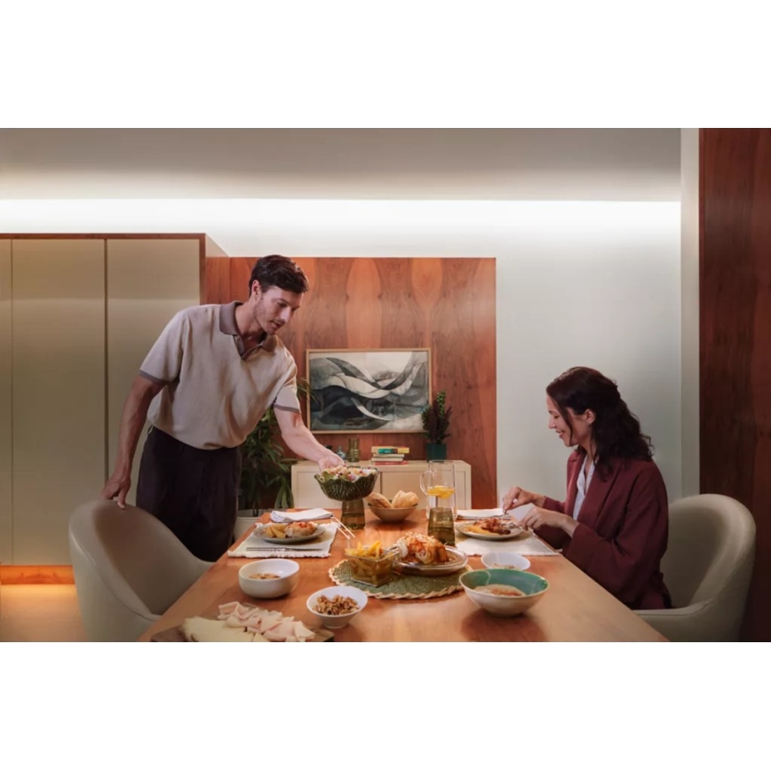 Philips - Ruban LED RGBW dimmable Hue FLUX 3+2m LED/48,5W/230V 2200-6500K