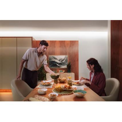 Philips - Ruban LED RGBW dimmable Hue FLUX 3m LED/29W/230V 2200-6500K + pont Hue