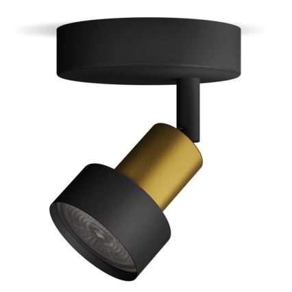 Philips - Spot CONDUIT 1xGU10/5W/230V noir/laiton