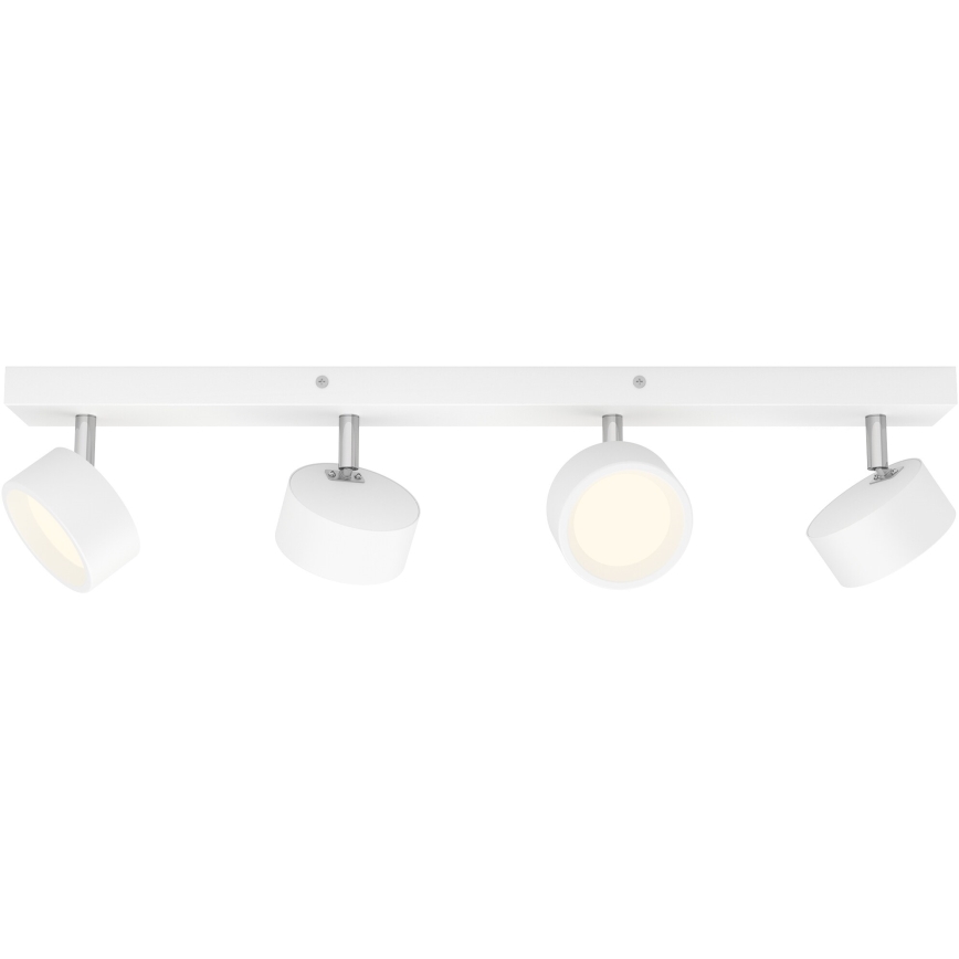 Philips - Spot LED 4xLED/5,5W/230V blanc