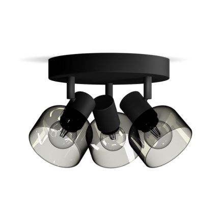Philips - Spot SLEET 3xE14/25W/230V
