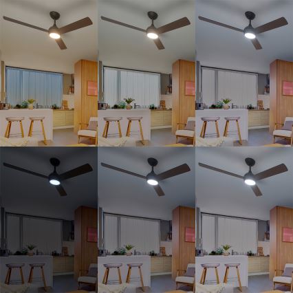 Philips - Ventilateur de plafond LED dimmable CIVX LED/24W/230V + télécommande