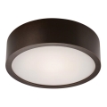 Plafonnier 1xE27/60W/230V pin sylvestre