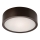Plafonnier 1xE27/60W/230V pin sylvestre